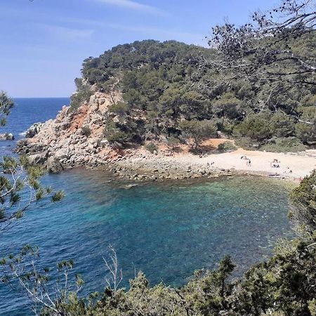 Bandol Maison De Campagne Exteriér fotografie