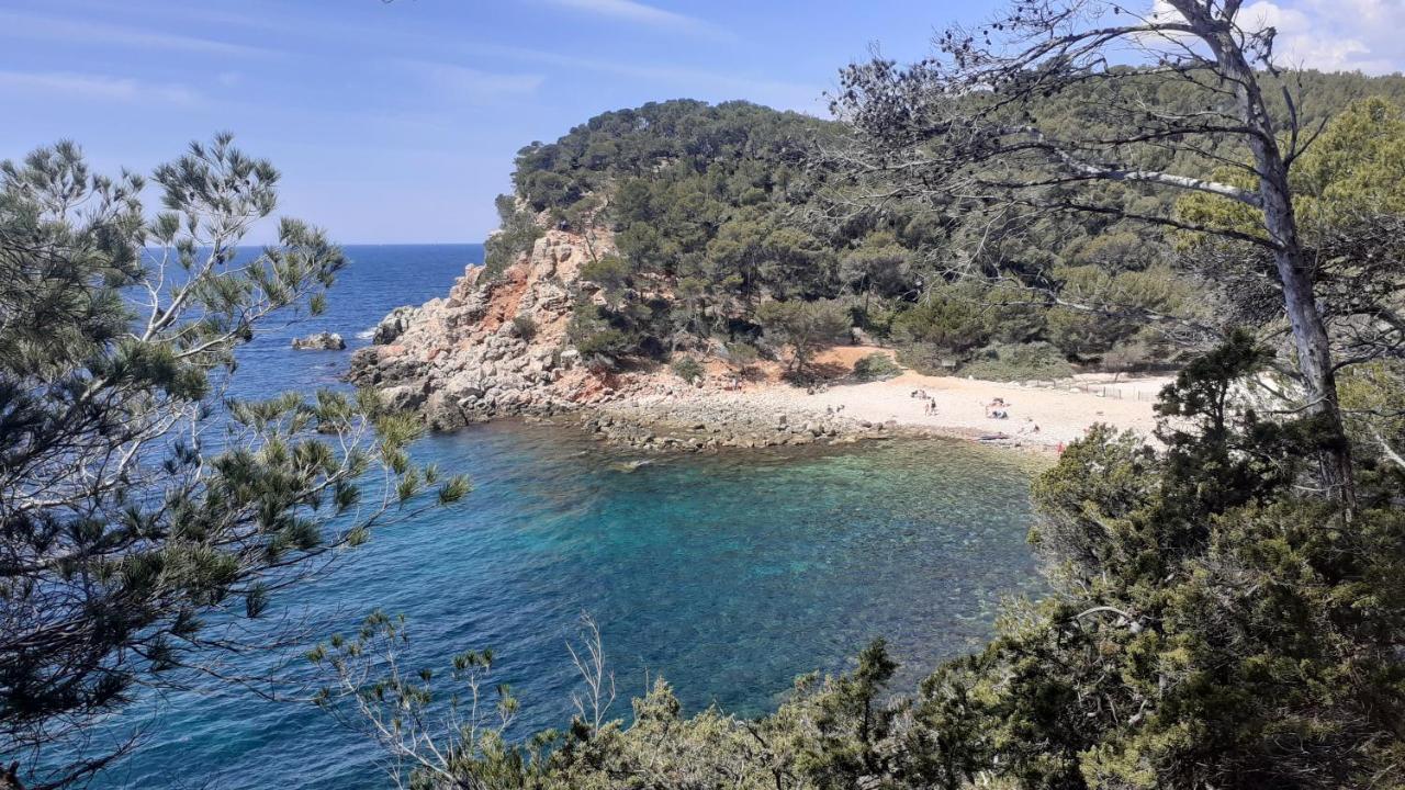 Bandol Maison De Campagne Exteriér fotografie